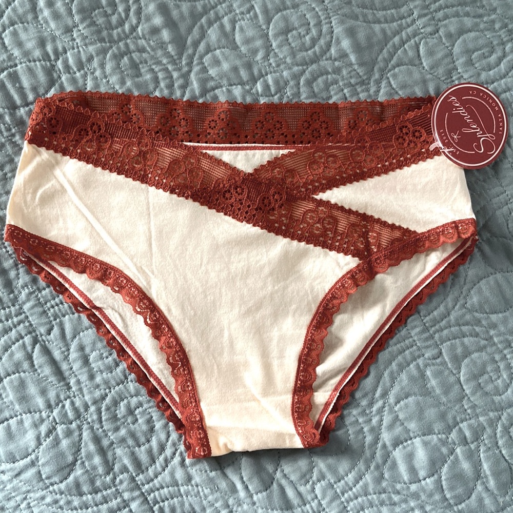 Ivory Cotton Panties w/ Sienna Lace NWT